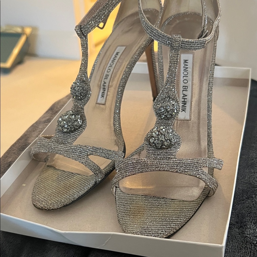 Manolo Blahnik Glittering Silver Heels